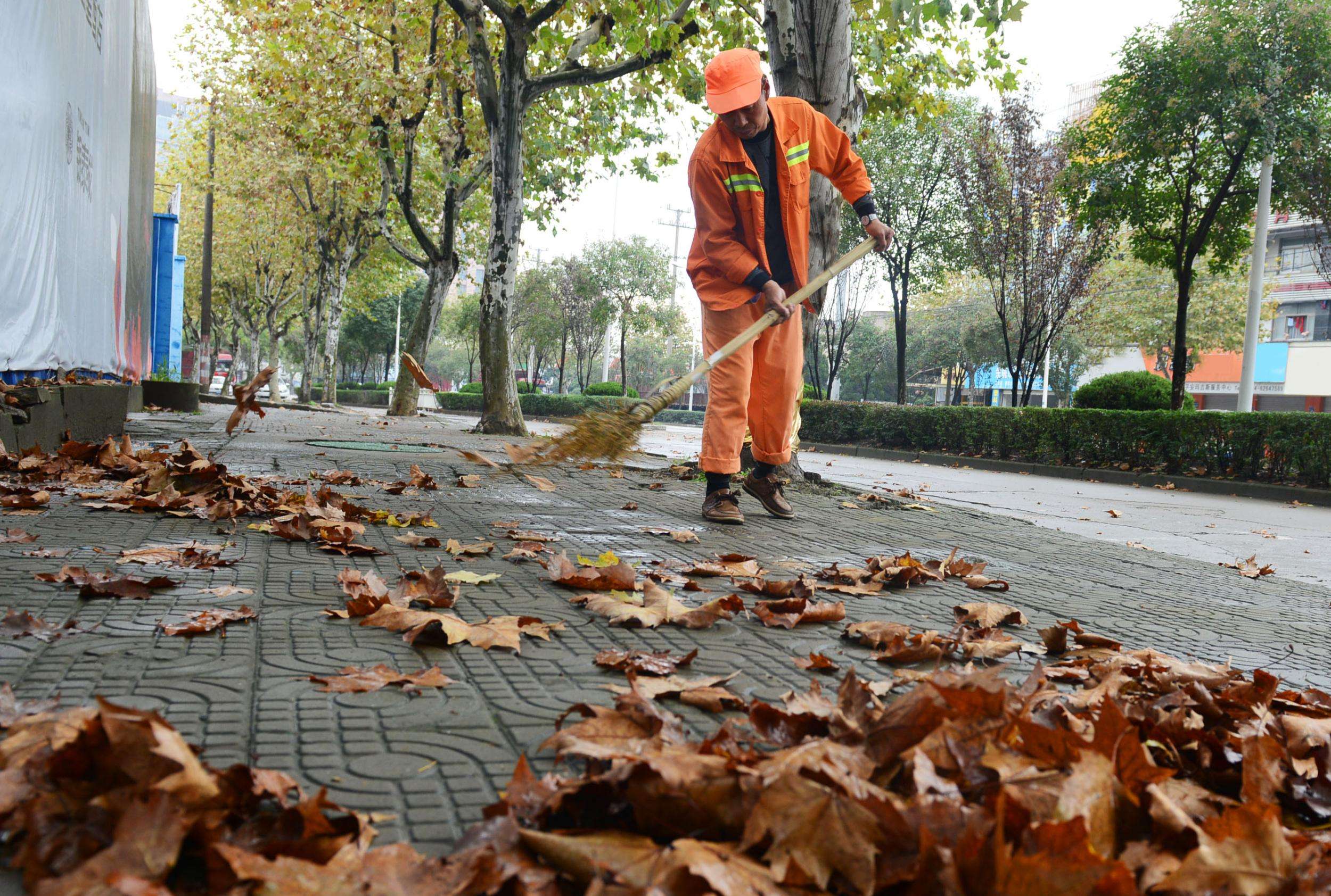 秋风何时扫落叶