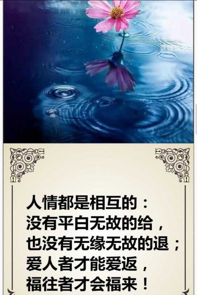 正直,永远最可贵;善良,永远不过期!