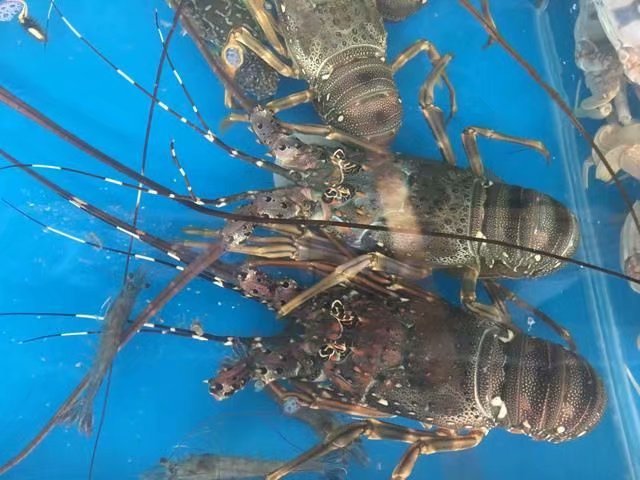 感受海的色彩,体验三亚的魅力_亚龙湾