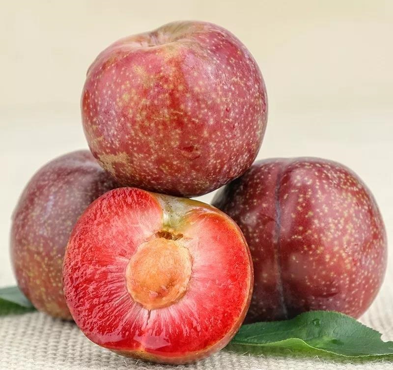 三华李酒的酿酒方法8月新品水果酒