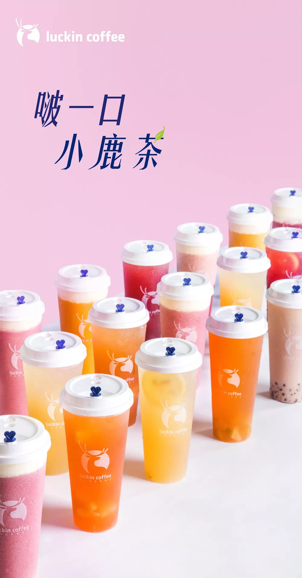 嘿又是努力的一天啵一口小鹿茶继续加油吧