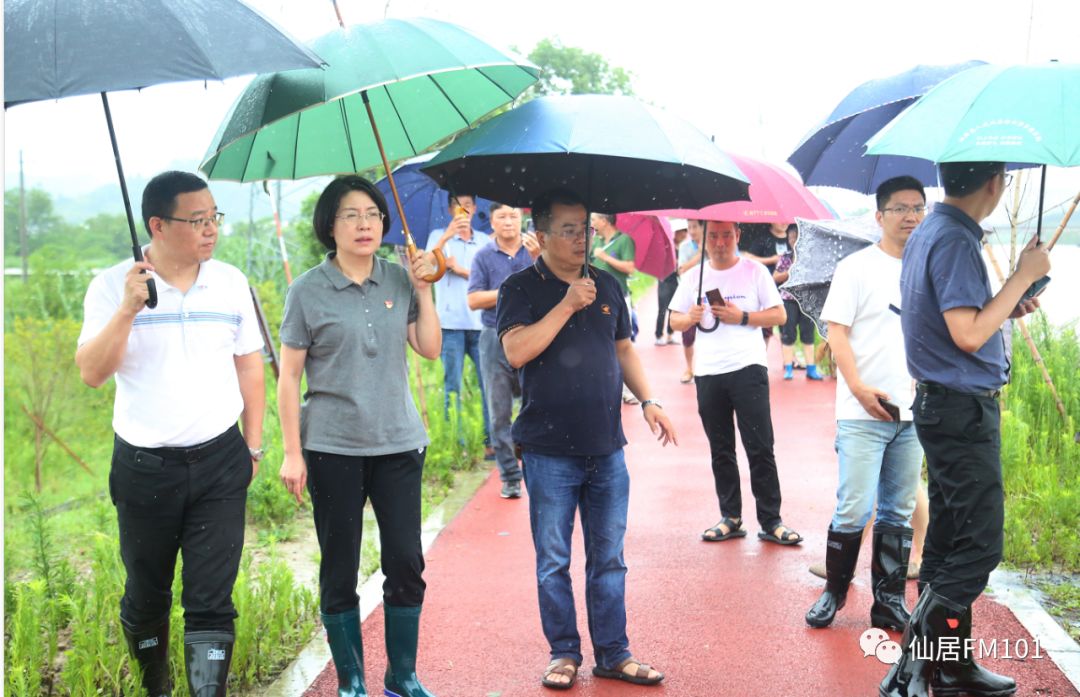 101巨热点仙居人台风利奇马过后仙居最新情况