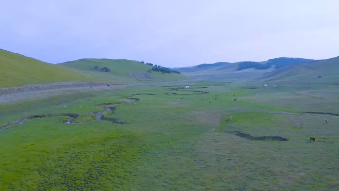 累趴窝两百万年的石阵叫阿斯哈图贡格尔大草原挨着达里湖(漂亮)乌兰布