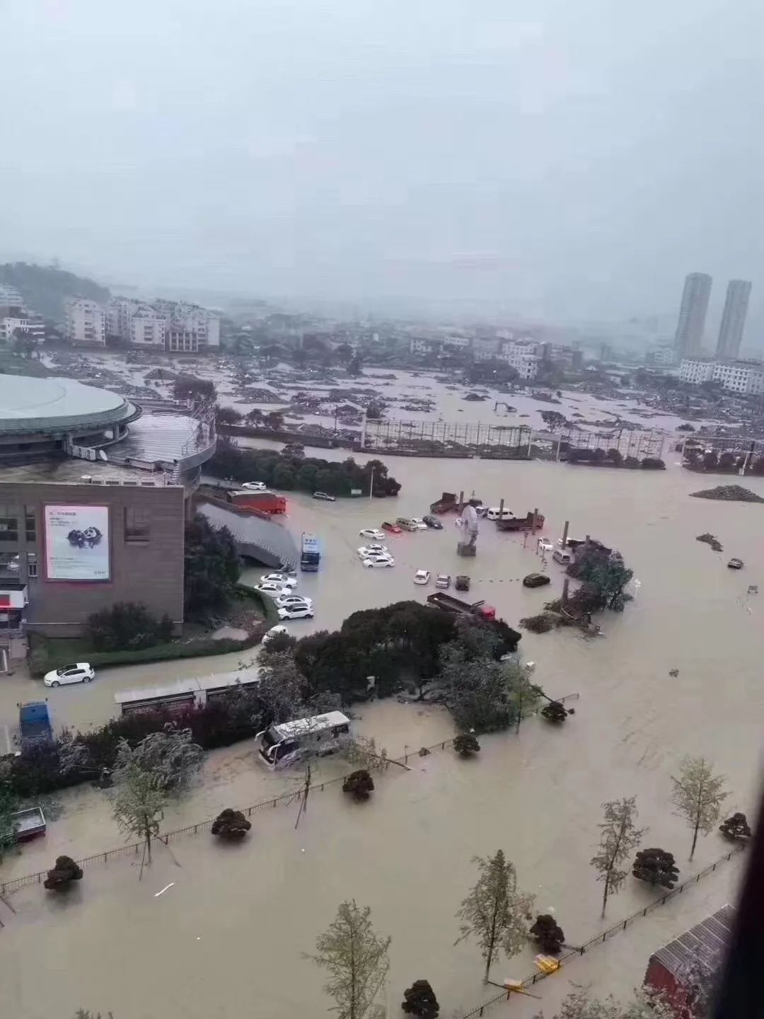 台风利奇马成风王图片