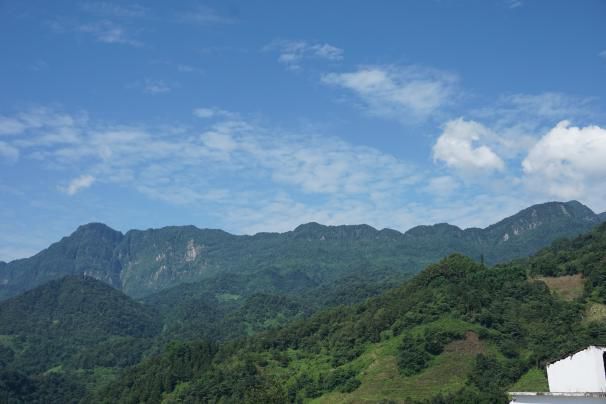 暑期社会实践今天我们都是盐津青年