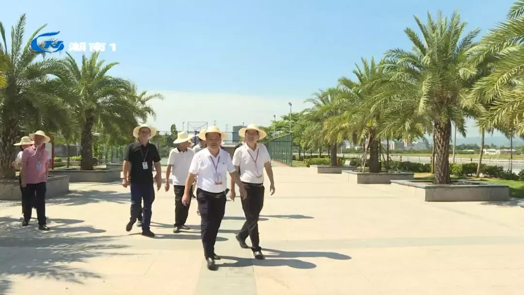 李元正到成田镇督查创文提质升级工作