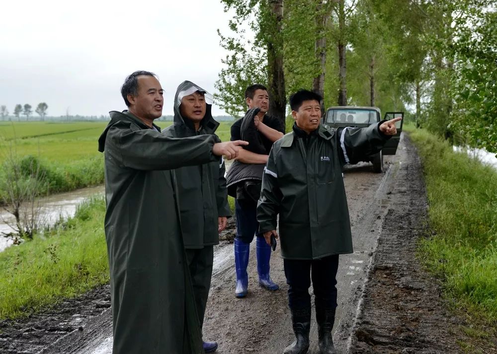 查哈阳四大破鞋图片