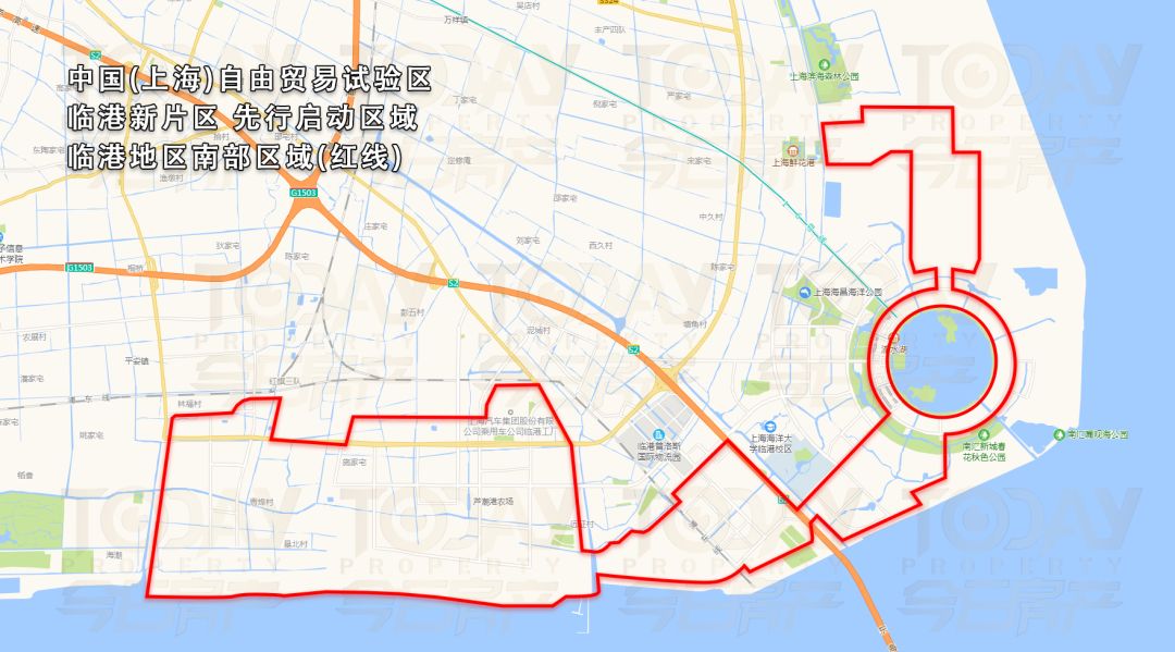 自贸区临港新片区首付56万上车