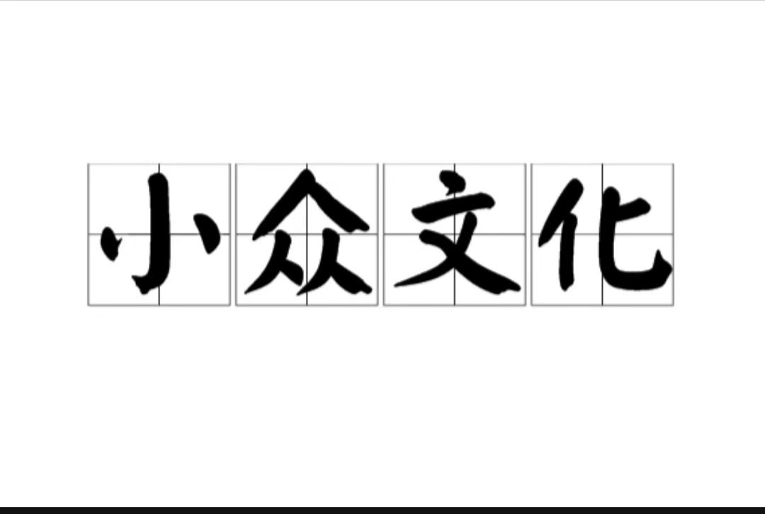 小眾文化及其群體的崛起是當代中國社會重要的文化現象與趨勢,這也是