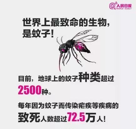 是由蚊子传播的据世界卫生组织调查而且,蚊子的危害远比你想象中可怕!