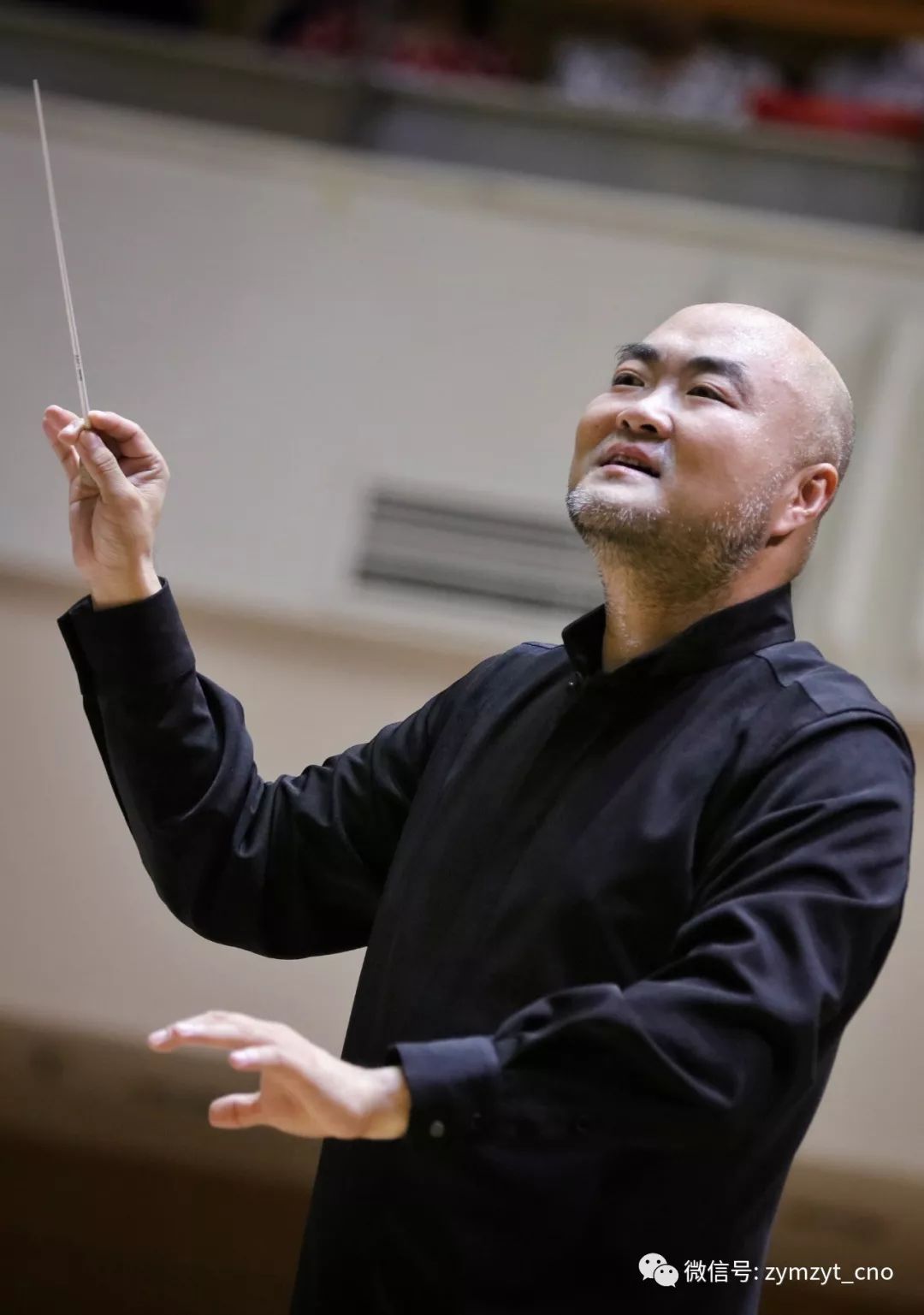 演出由著名指挥家,国家一级指挥刘沙指挥,中央民族乐团著名青年二胡