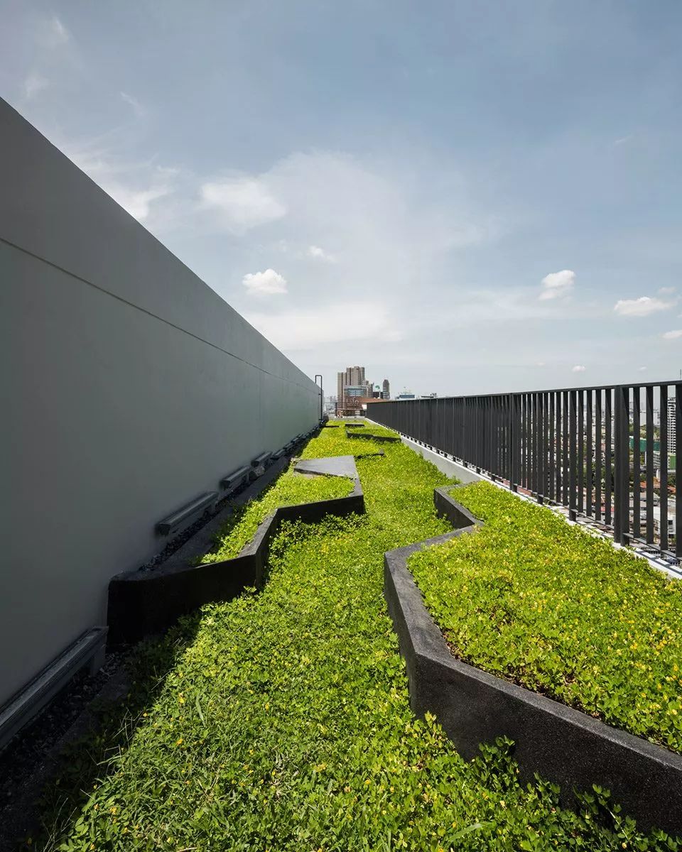 干货 | 屋顶绿化