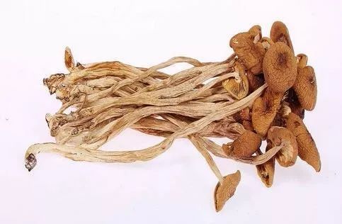 你就简单帮我做个广告就行了这个好吃过鸡肉春