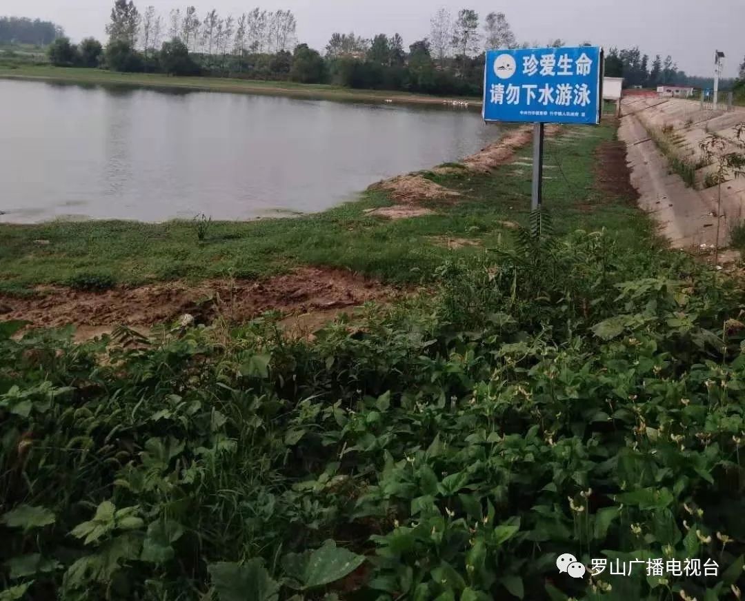 竹竿镇开展防溺水安全隐患排查工作