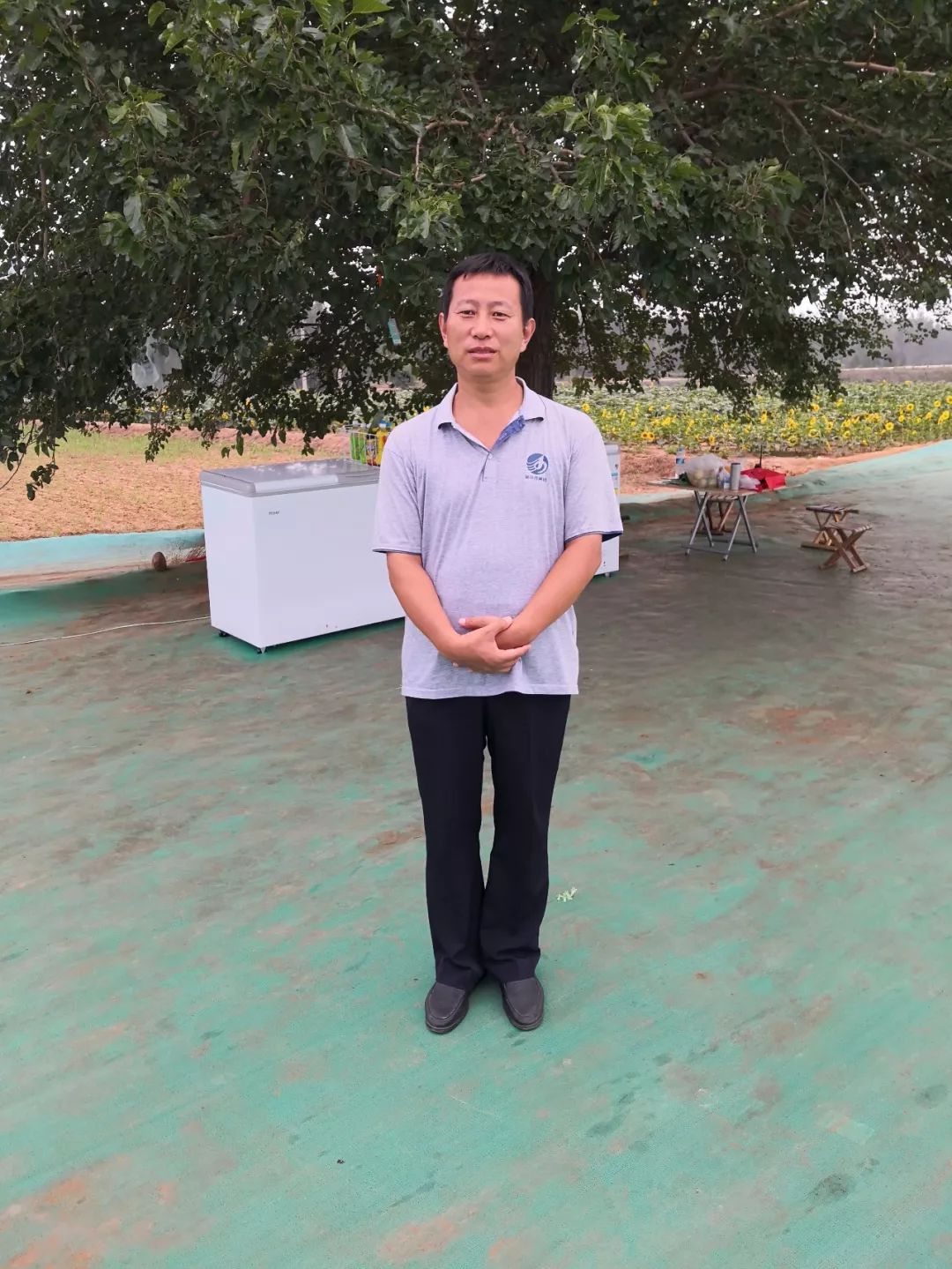 看金沙河员工如何歌颂红薯岭