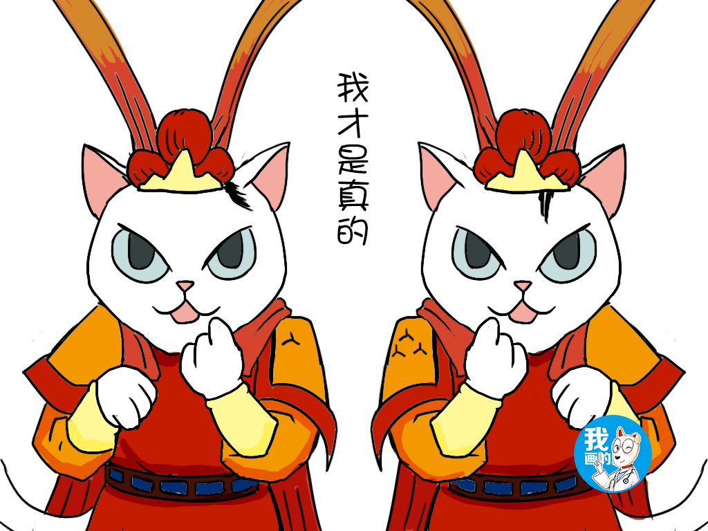原创妹子路边发现自家猫咪偷溜出门,捉回家后懵了:真假美猴王?