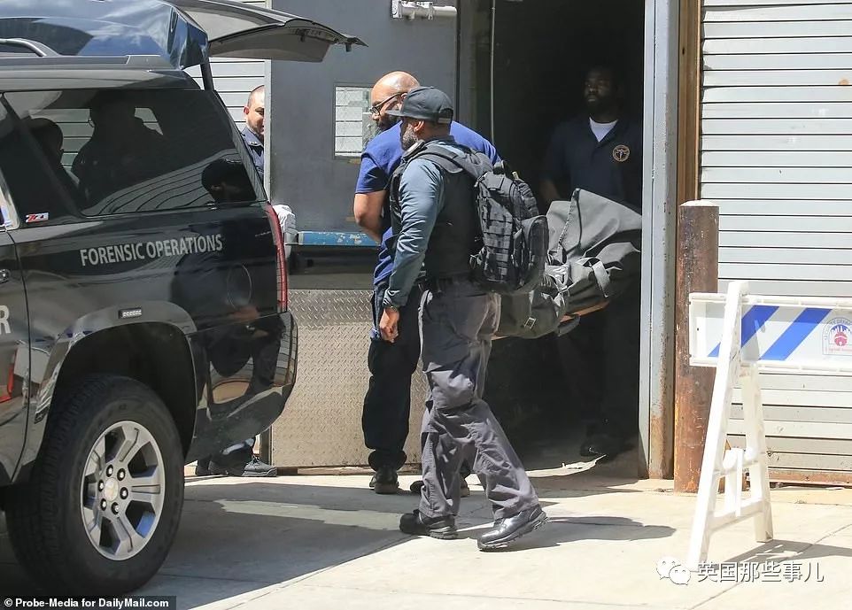 被掩盖的秘密,再无知晓?_jeffrey