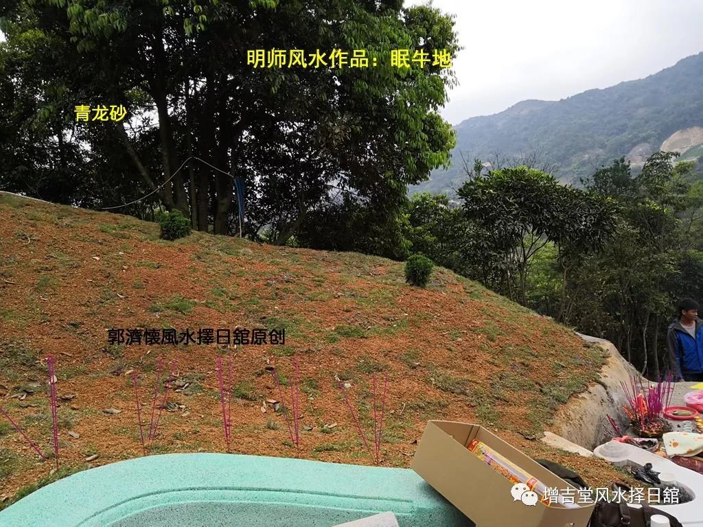 明师风水作品:眠牛地_牛形