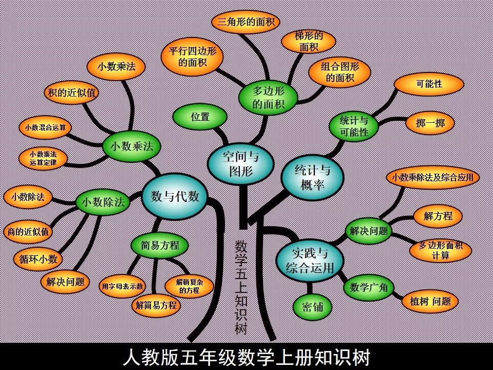 特级老师整理五年级数学上册思维导图知识树开学快人一步
