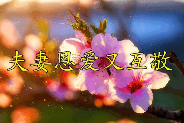 640_427gif 动态图 动图