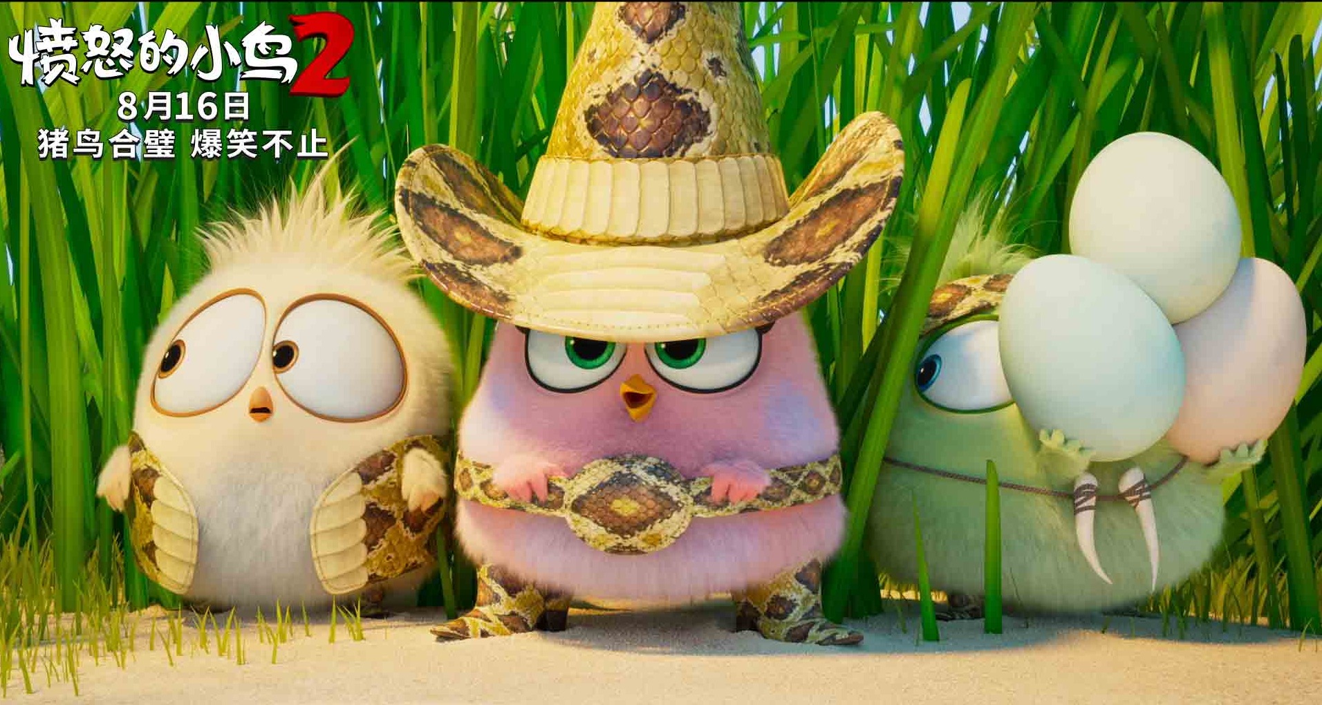 笑到缺氧电影愤怒的小鸟2承包你8月份所有欢乐