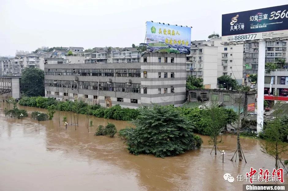 任国强,笔名任平生,1963年出生,河南平顶山人.喜爱诗词,散文,国学.