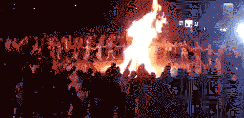 500_242gif 动态图 动图