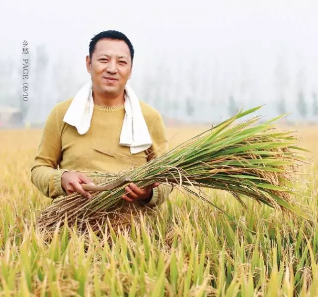 执着坚守食材品质的新农人水牛稻创始人赵俊海