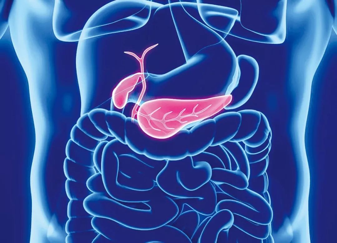 ubc科学家发现胰腺癌的秘密胰岛素很重要但过量则致癌
