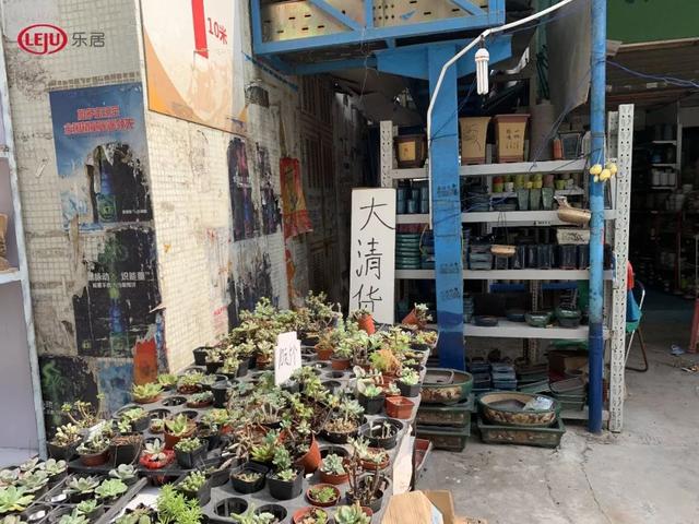 這個資產包中,就包括該花鳥魚蟲市場.