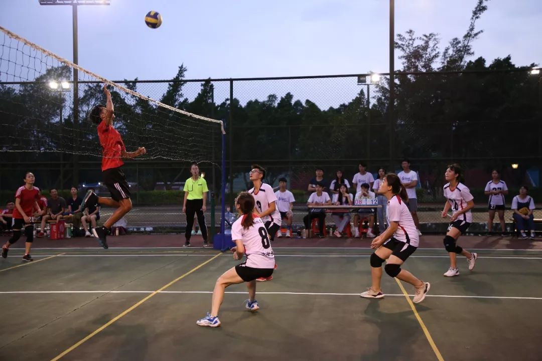 吊球,强力扣杀以球会友,共同进步排球场上显英雄三尺讲台育桃李"力搏