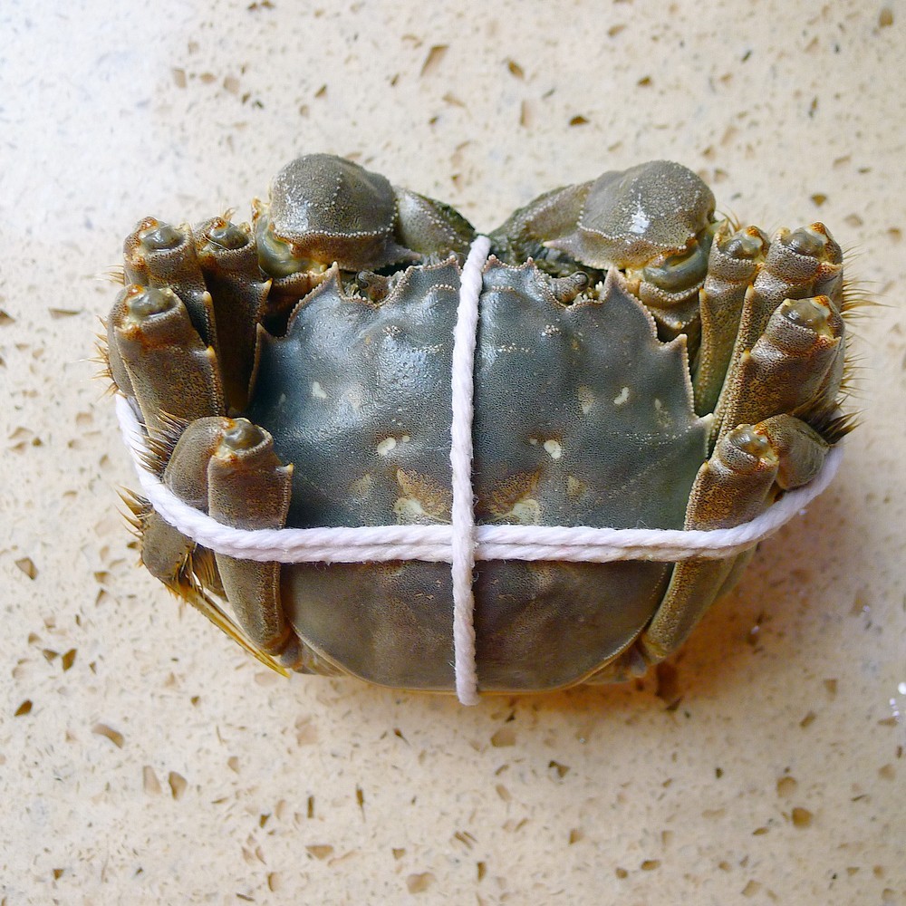 江苏最尴尬的旅游城市景区多游客少猪肉脯和大闸蟹却很出名