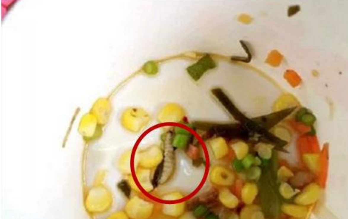 广州女子做月子饭菜中居然出现蛆虫月子中心的回复亮了