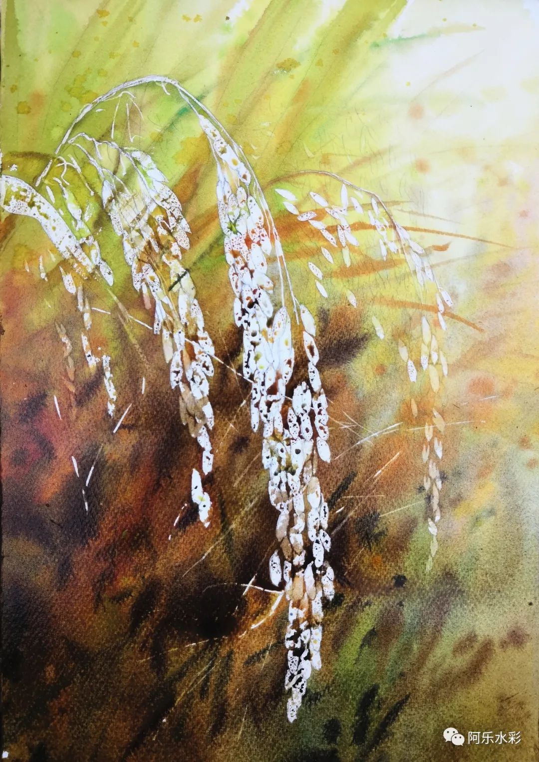 立秋用水彩画一画稻谷