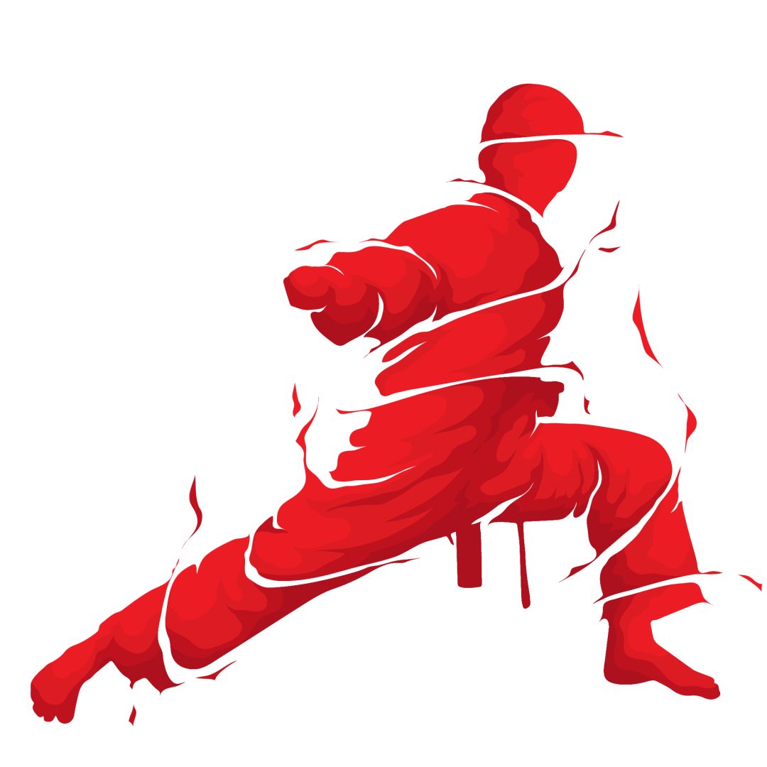 啸江南中国武术散打中外争霸赛揭开战幕搏击巨星闪耀太湖之滨