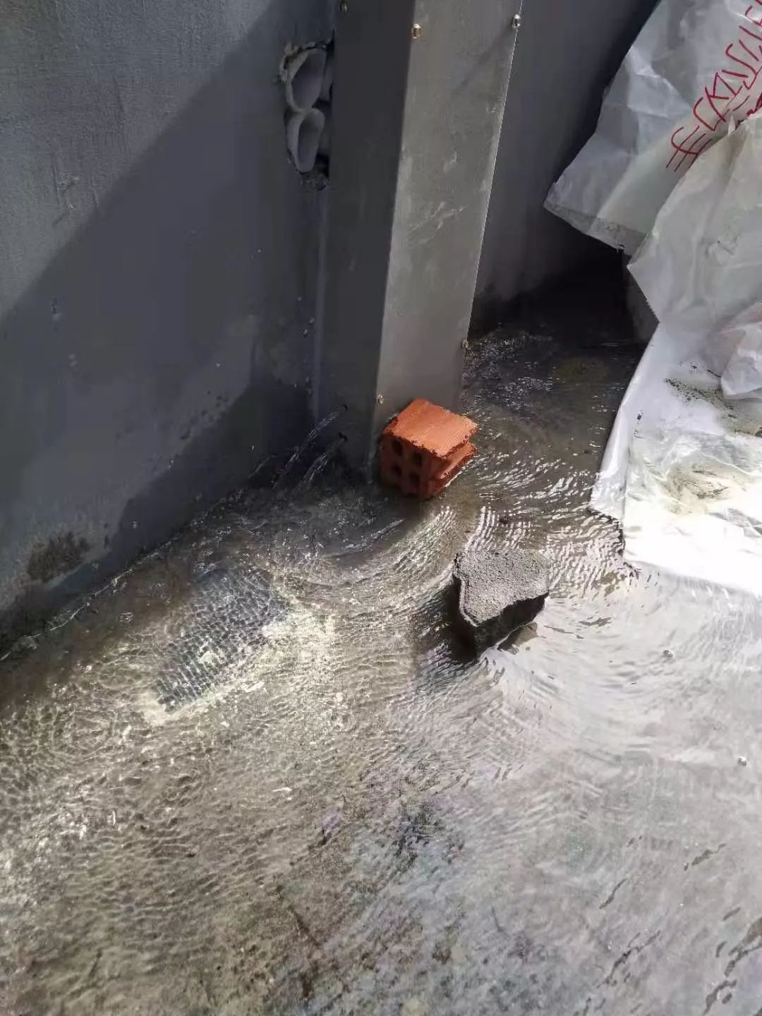 [ 南门 · 抗台 ] 台风过后,街巷弄堂依然有他们的身影