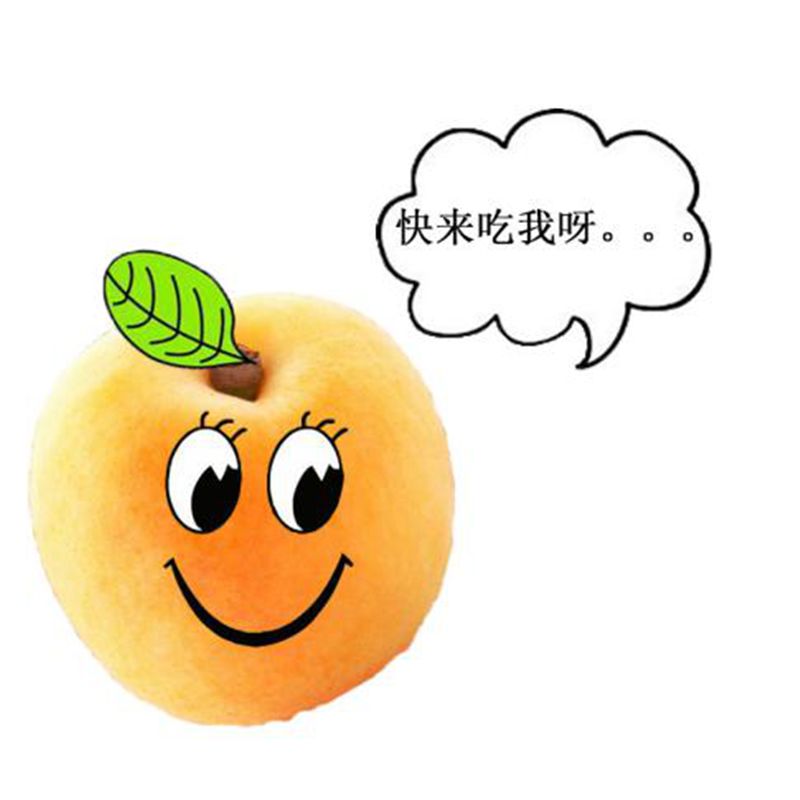 世上最美好的事,是到玉屏吃黄桃