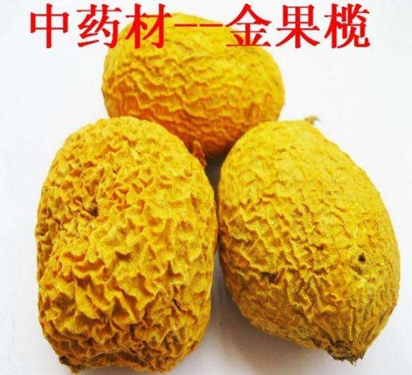 厚圃森金果榄种植技术学习是可以人工种植的经济中药材