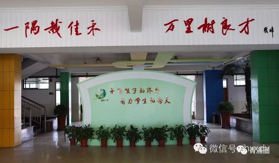 青浦佳禾小学被国家点名啦这下全国出名了