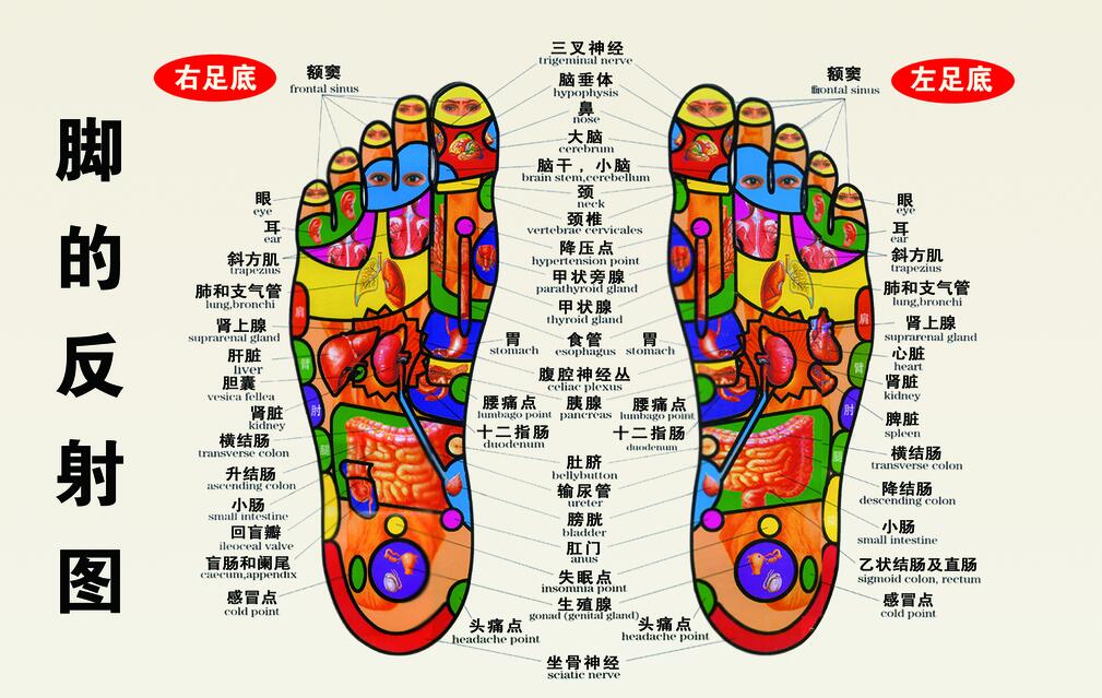 泡脚的时候还可以按摩脚底涌泉穴,刺激肾脏