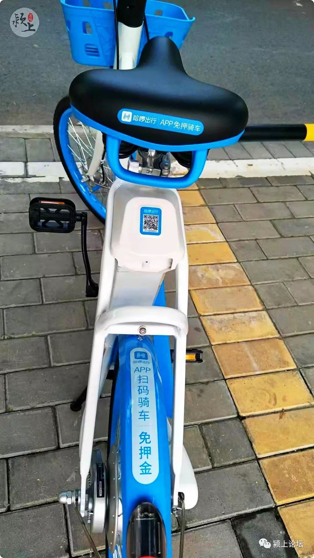 颍上又一共享电单车来了!支付宝扫码即可使用.