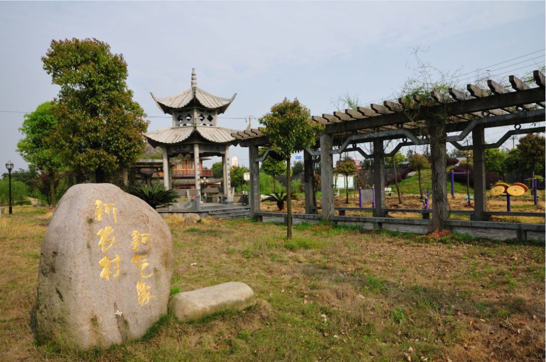 礼赞龙游致敬龙游乡村清道夫