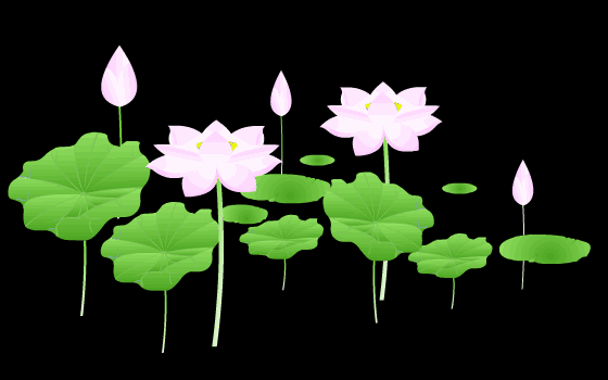 560_350gif 动态图 动图