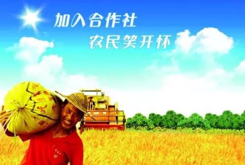 内容独家来源:农业行业观察(id:nyguancha)据了解,能够对农民合作社