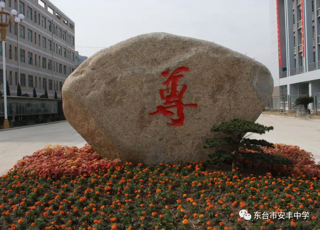 喜报安丰中学获江苏省健康促进金奖学校荣誉称号