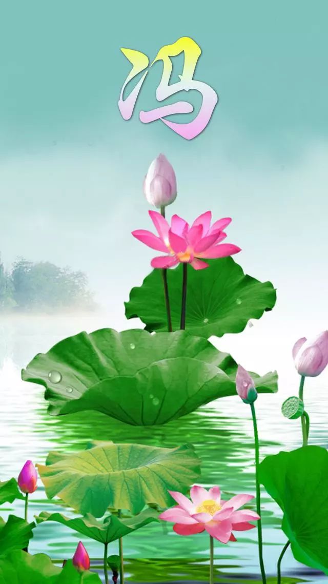 最全最美荷花壁纸共112张张张精品喜欢的朋友可以收藏转发