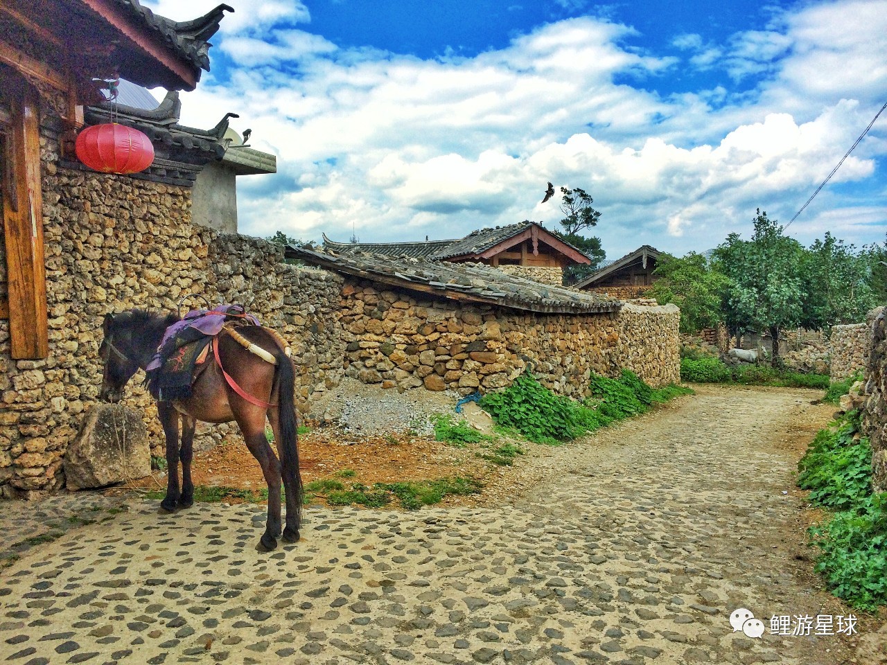 云南旅行:种草丽江古城外一座隐秘的石头村,像极了北欧小镇