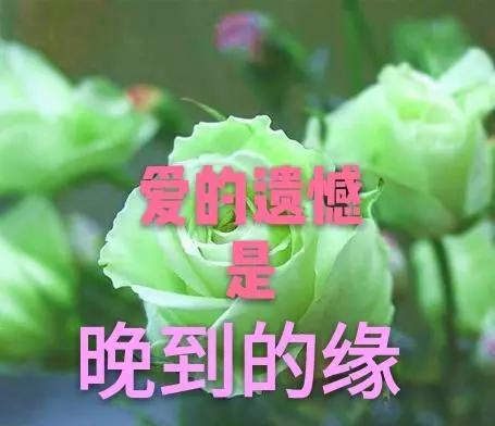 愛到極致無慾無求想到極致痛徹心扉