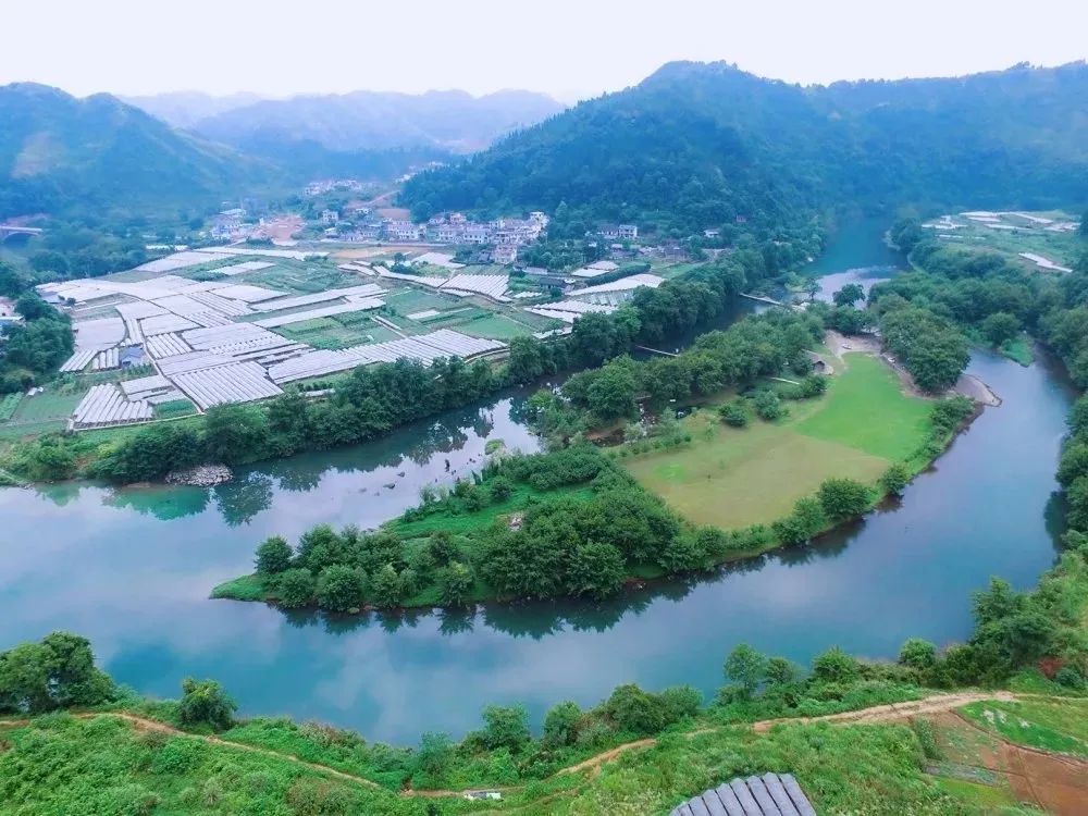 河溪的葡萄熟了湘西人快来摘6大福利爽翻你