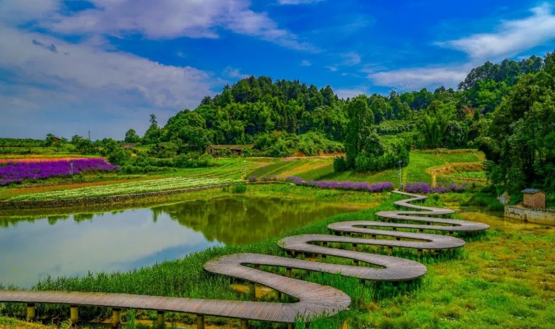 巴南区大来山风景区图片